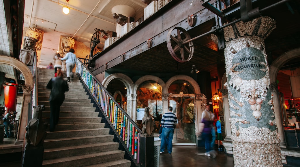 City Museum