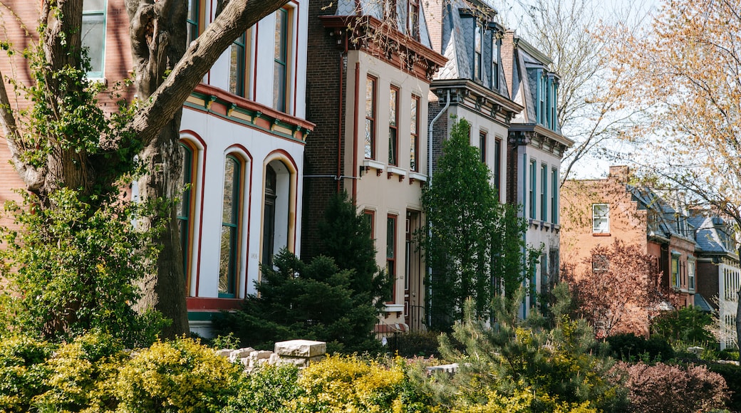 Lafayette Square