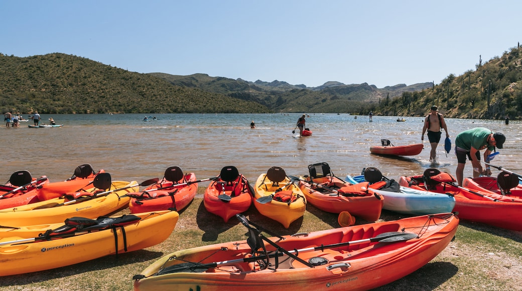 Saguaro Lake