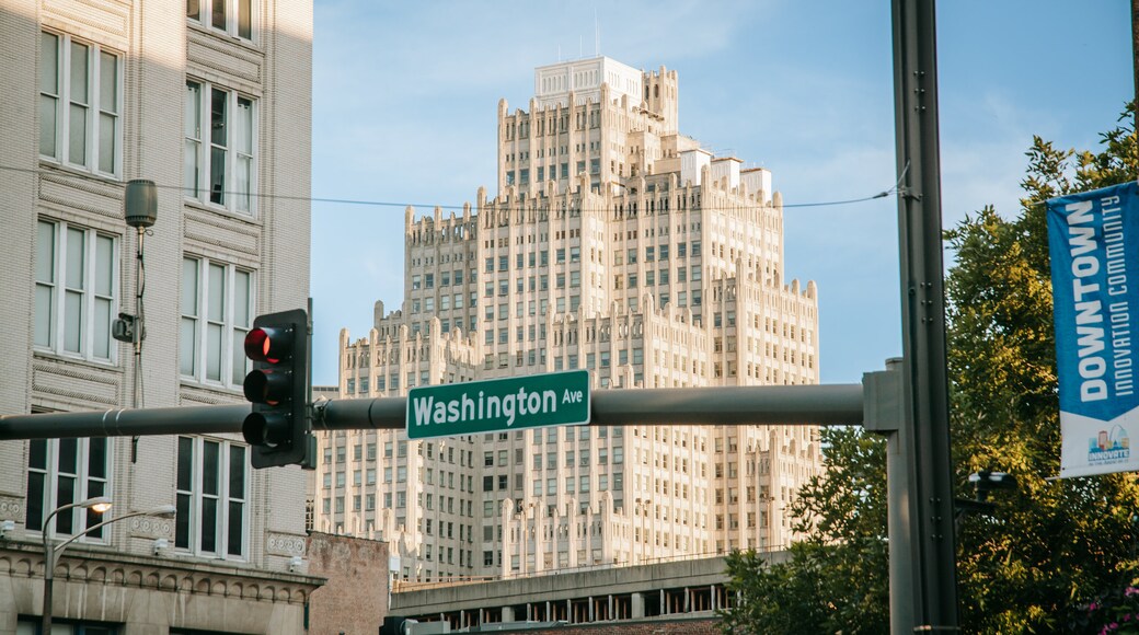 Distrito histórico de Washington Avenue