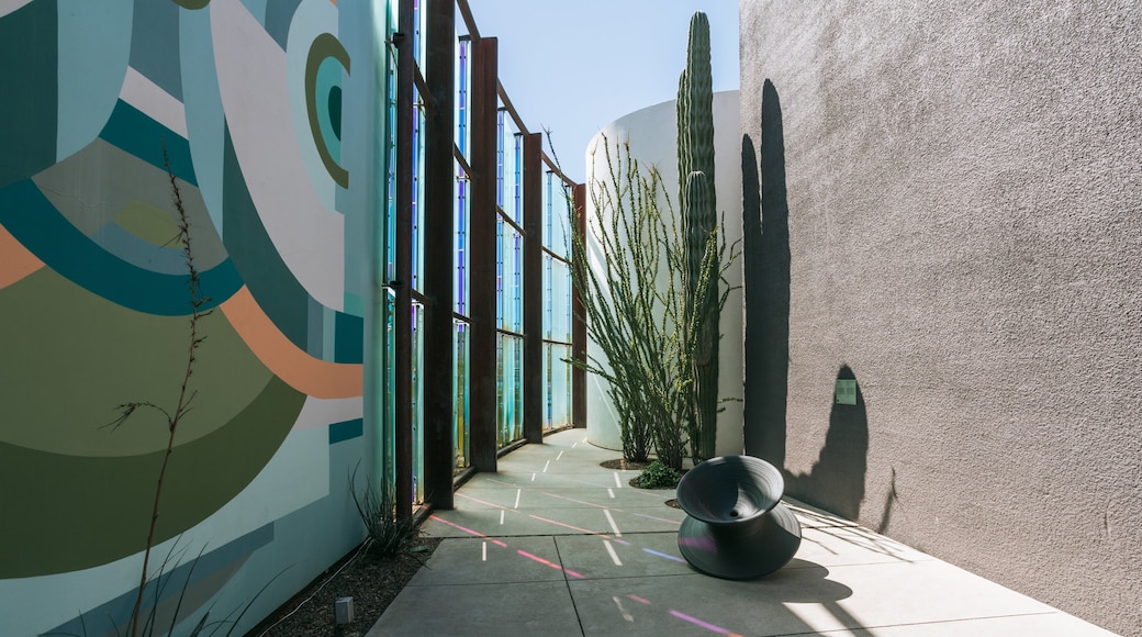 Bảo tàng Nghệ thuật Đương đại Scottsdale