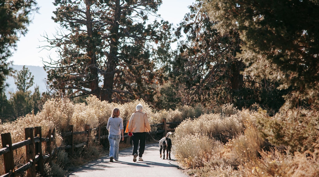 Big Bear Lake
