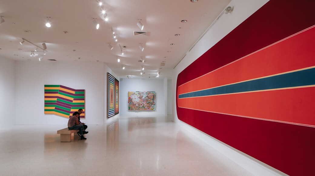 NSU Art Museum Fort Lauderdale