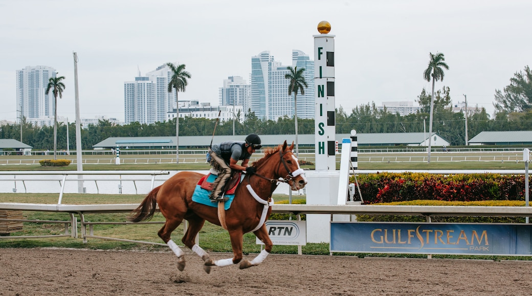 Gulfstream Park Racing and Casino