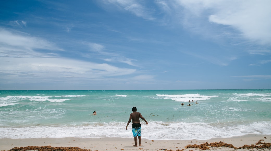 Lummus Park Beach