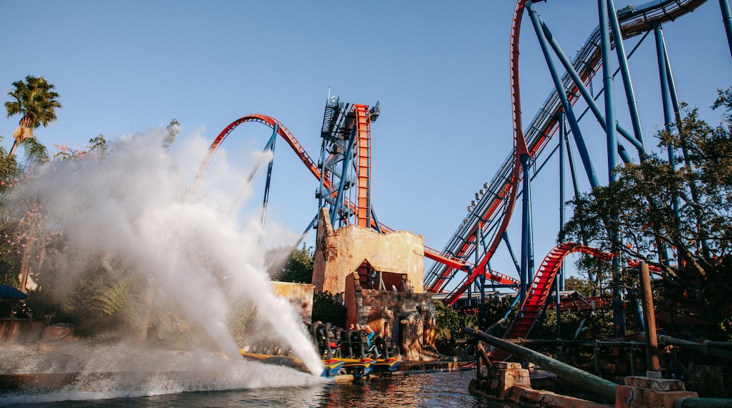 Busch Gardens Tampa Bay