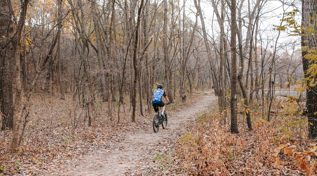 Minnehaha Park