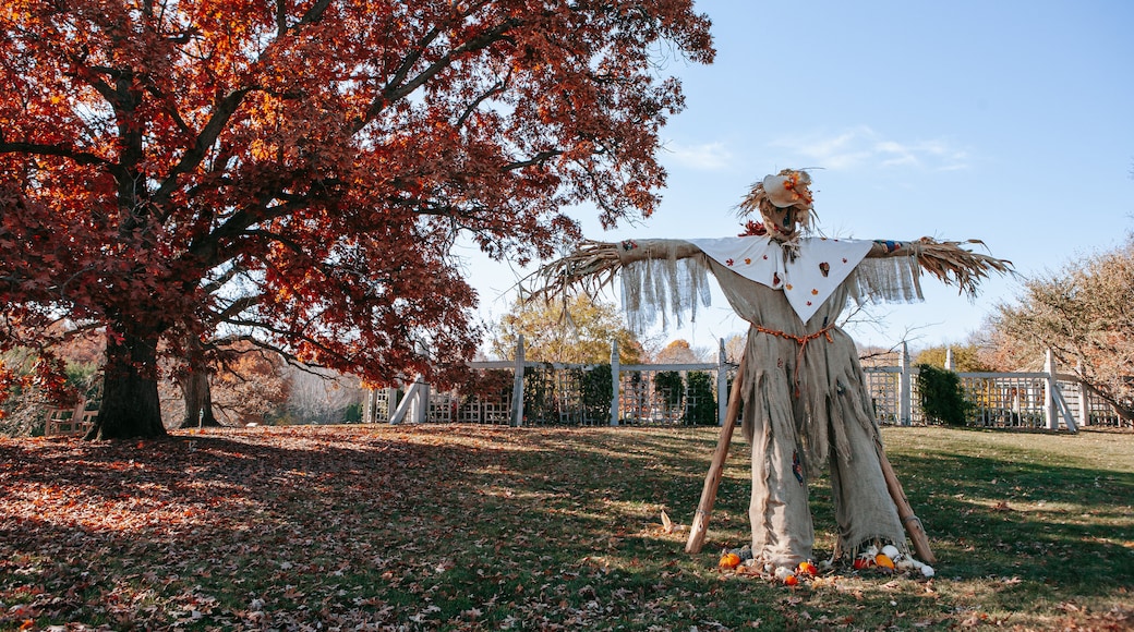 Minnesota Landscape Arboretum