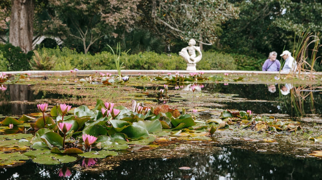 Brookgreen Gardens