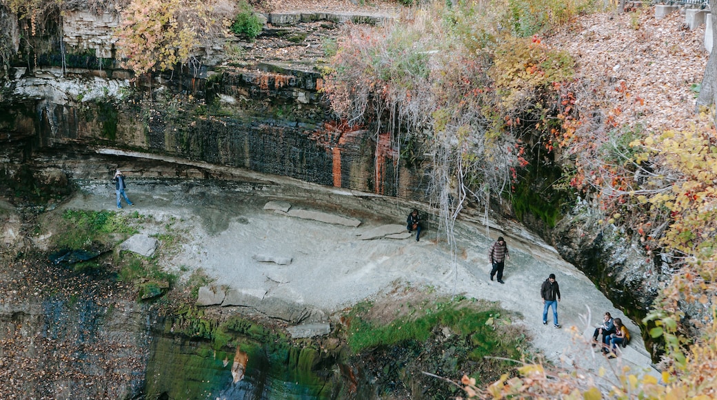 Minnehaha Park