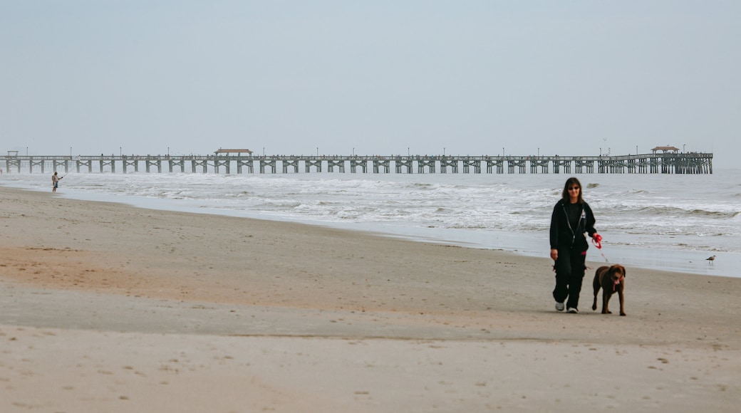 Myrtle Beach State Park
