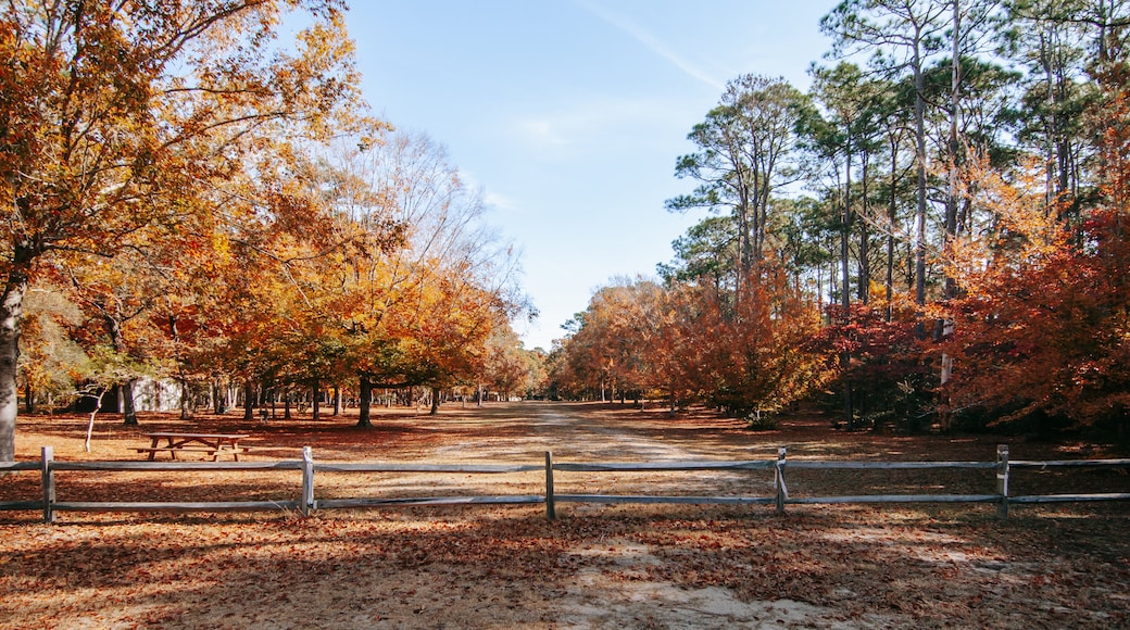 Brookgreen Gardens