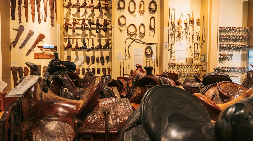 Western Spirit: Museo Scottsdale del Oeste