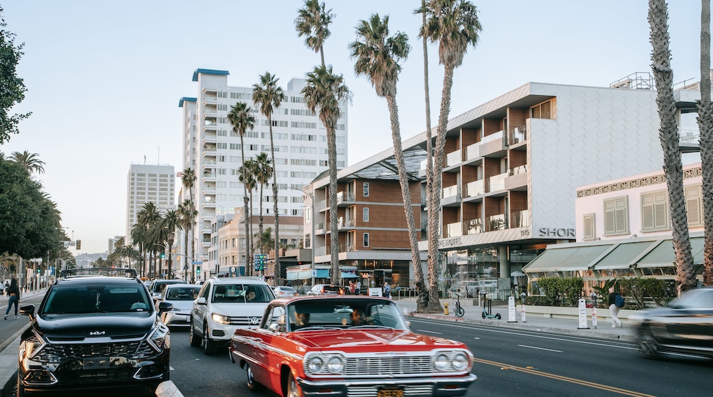 Downtown Santa Monica