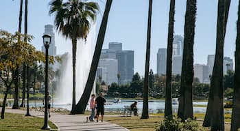Echo Park showing a park and a fountain as well as a couple
