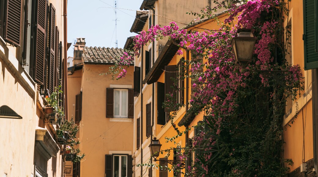 Parione
