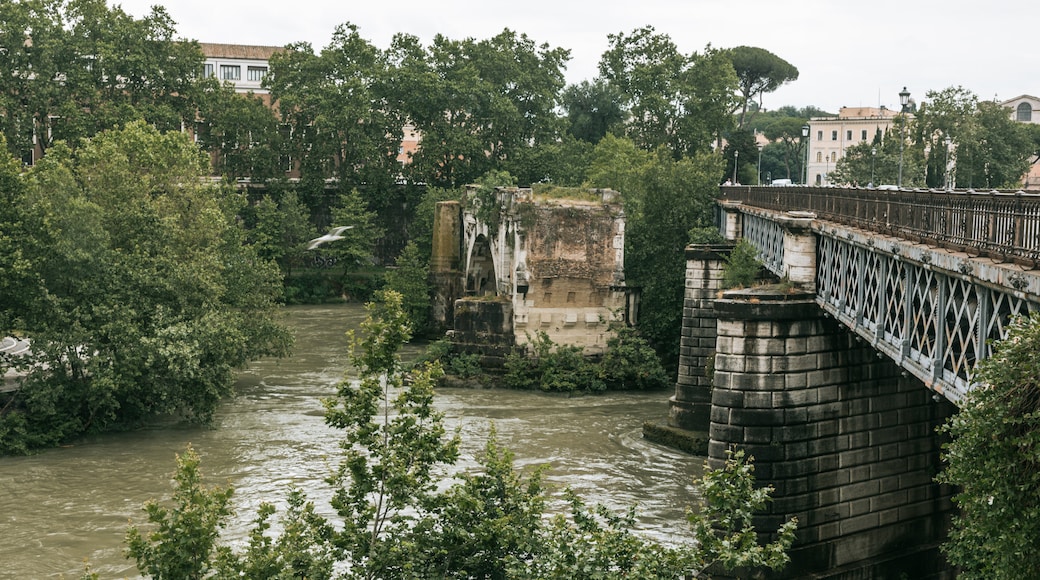 Île Tibérine