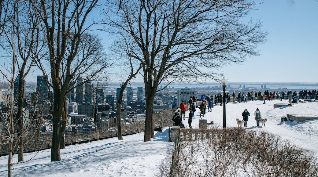 Downtown Montreal