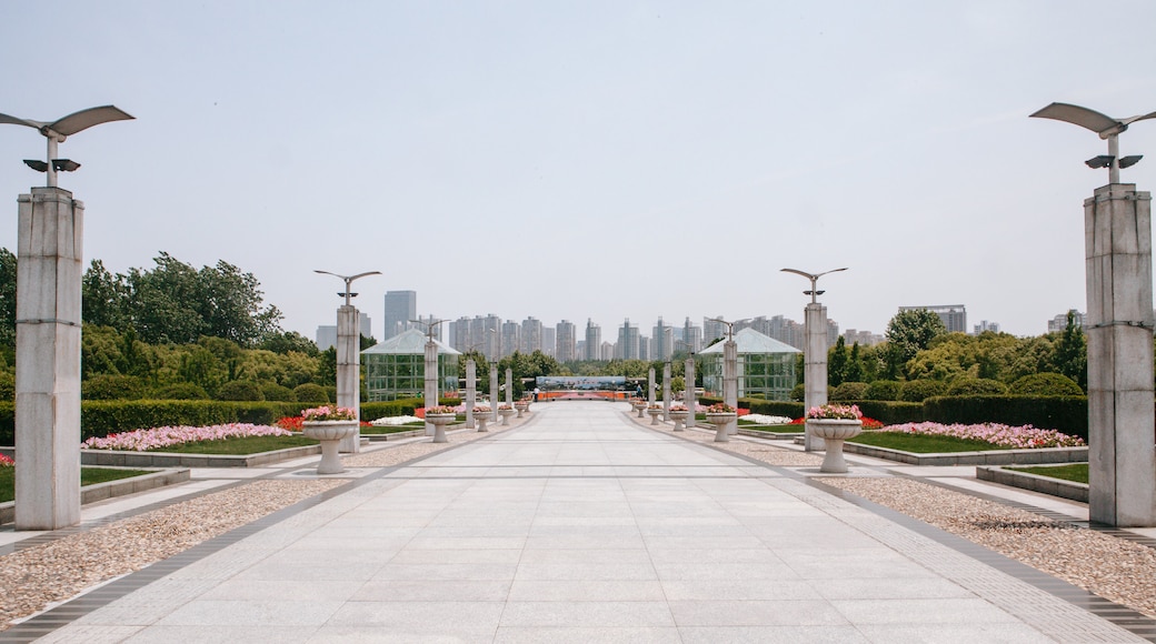 Museo de Ciencia y Tecnología de Shanghái