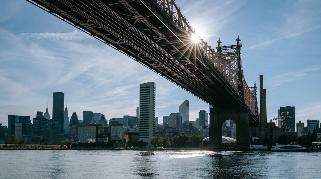 Queensbridge Park showing a city, a bridge and a river or creek