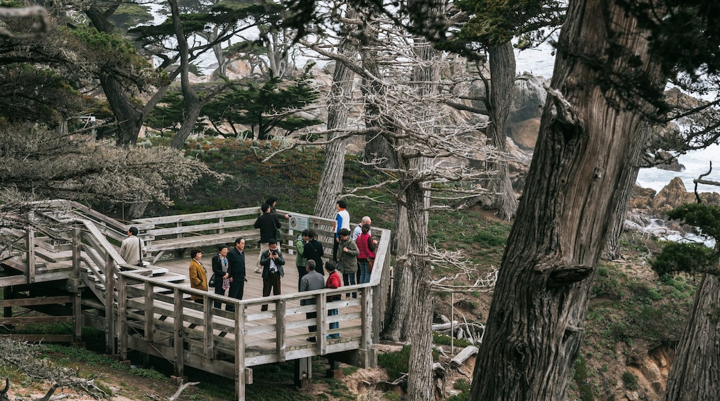 17-Mile Drive