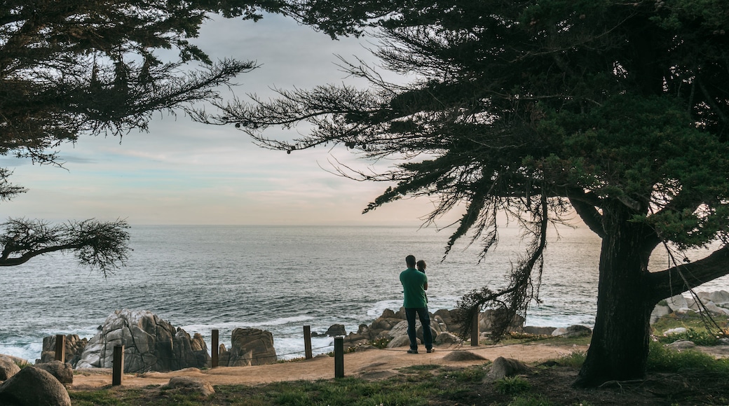 17-Mile Drive