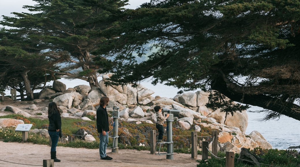17-Mile Drive