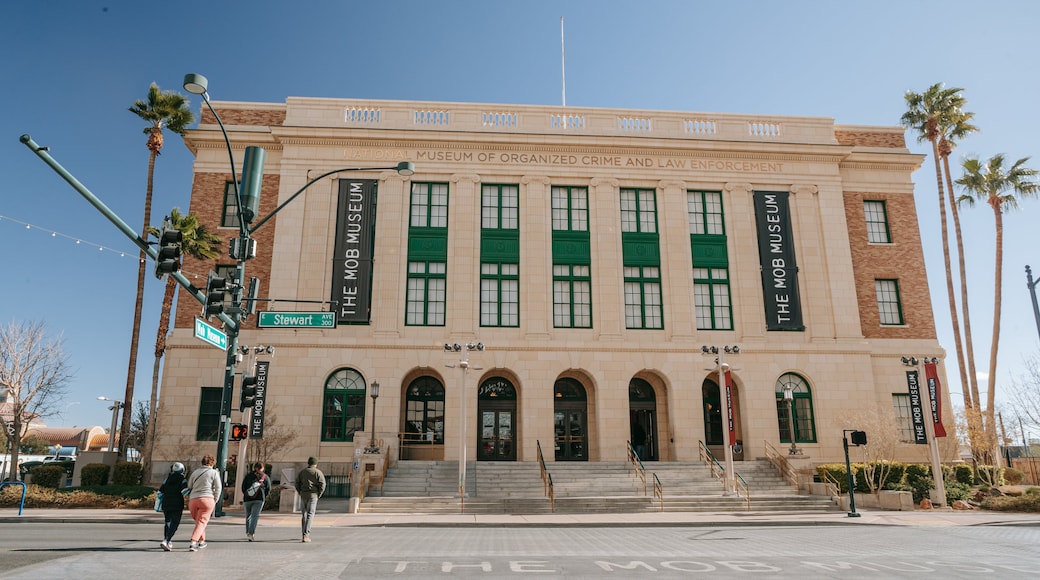 Museo de la Mafia