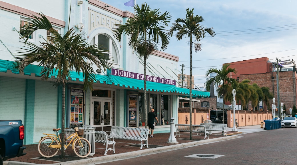 Florida Repertory Theater showing a small town or village