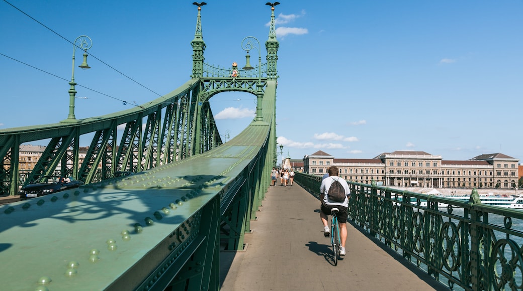 Puente de la Libertad