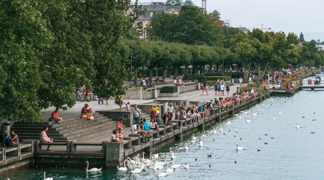 Passeggiata sul lungolago