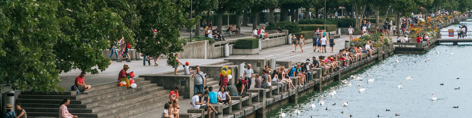 Lakeside Promenade showing a river or creek and bird life