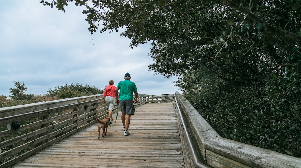 First Landing State Park