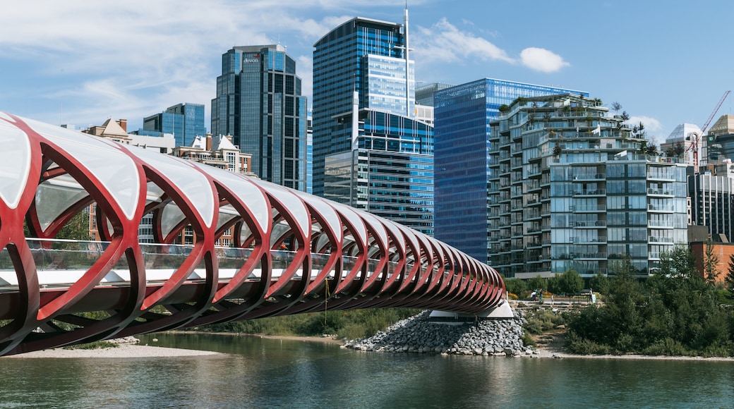 Puente de la Paz