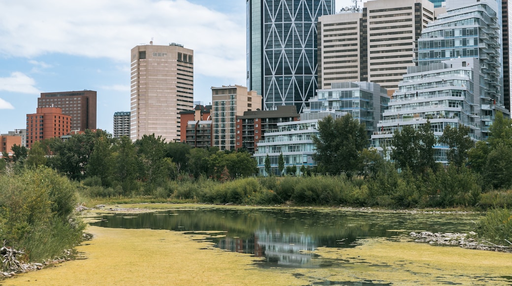 Prince\'s Island Park which includes a pond and a city