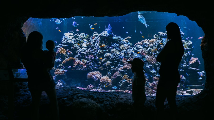 Virginia Aquarium and Marine Science Center