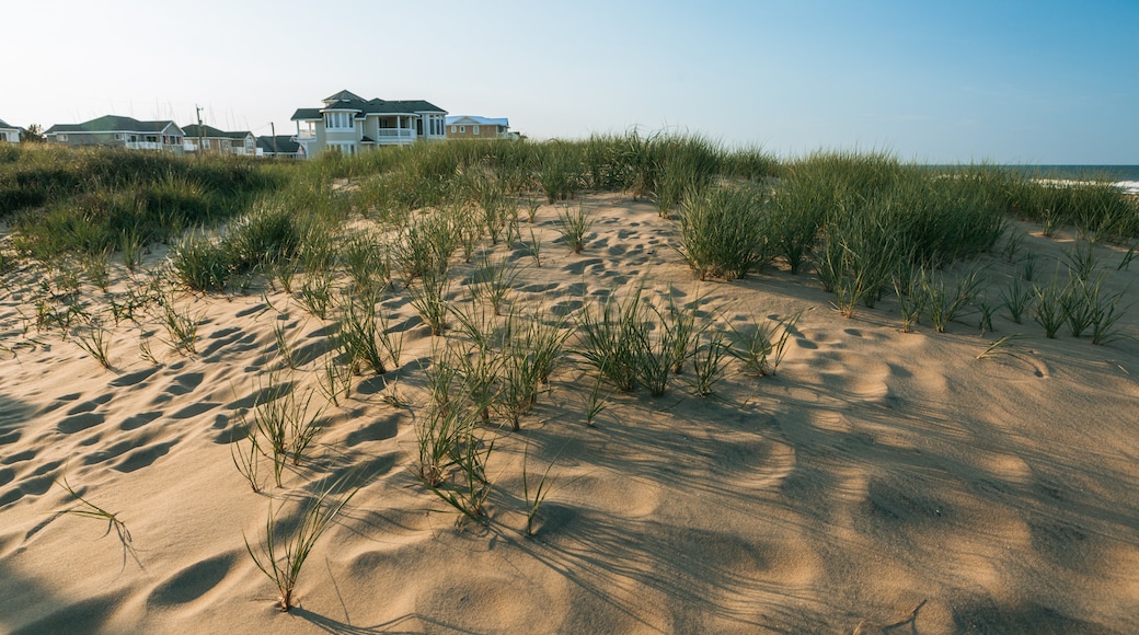 Sandbridge Beach