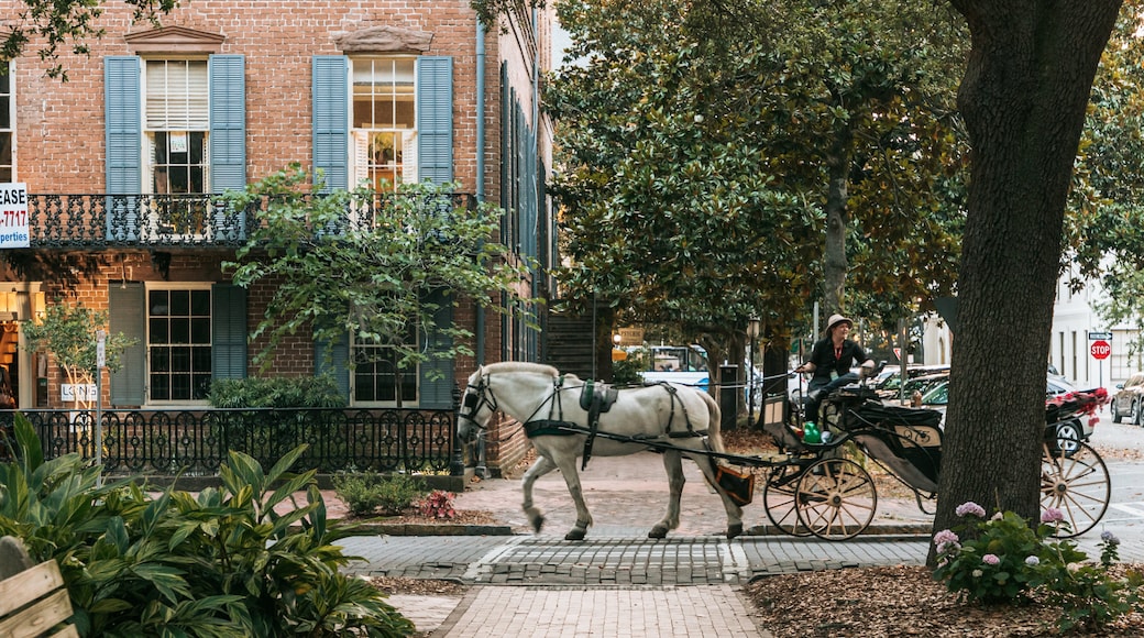Oglethorpe Square