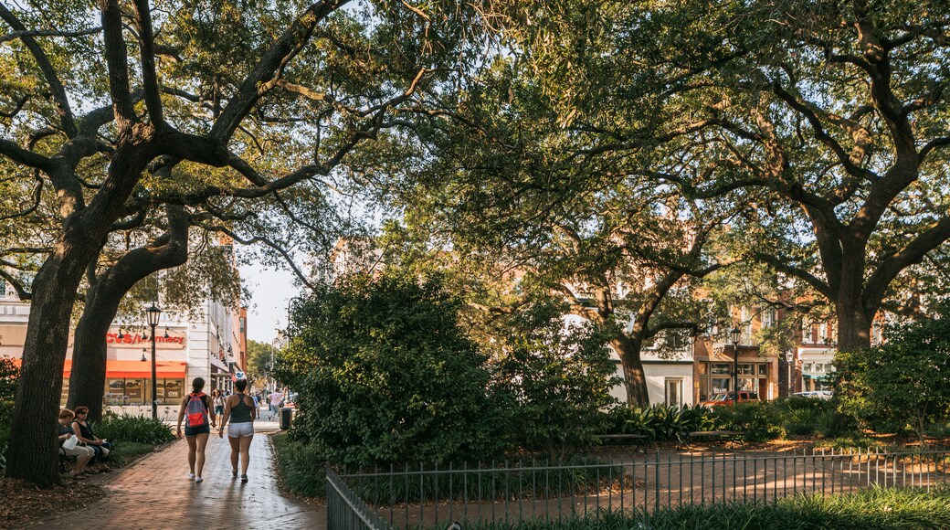 Wright Square showing a park