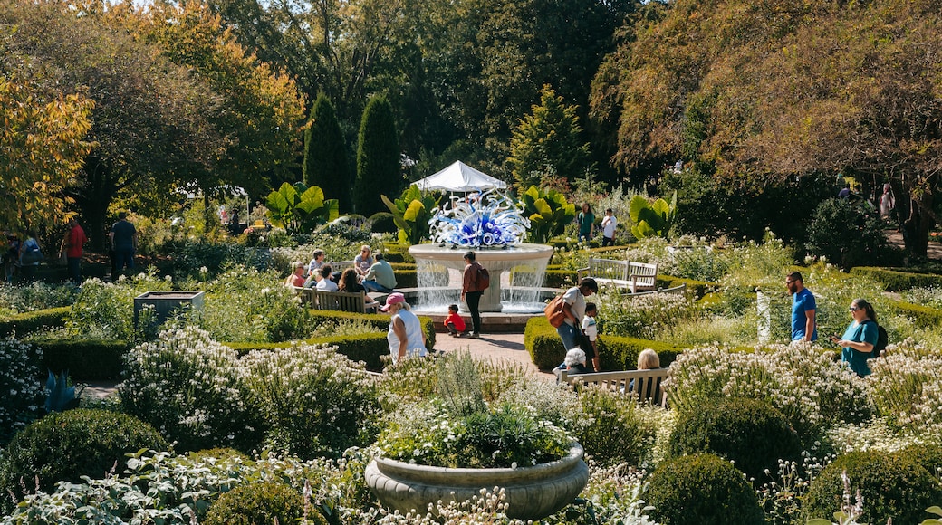 Atlanta Botanical Garden