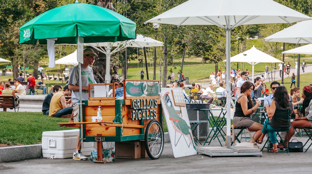 Boston Common featuring markets, a garden and outdoor eating
