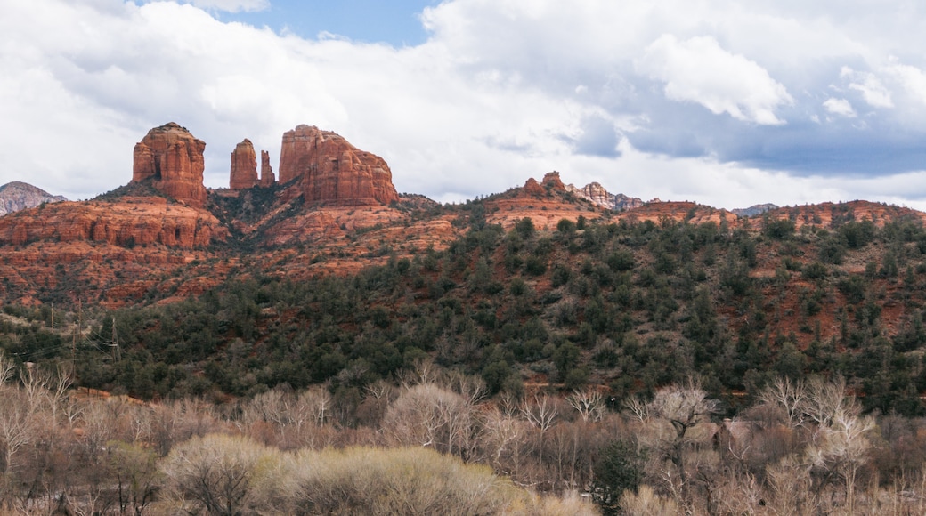 Cathedral Rock
