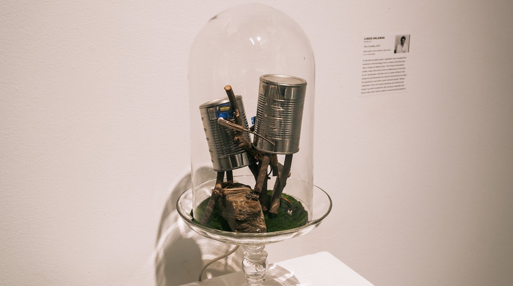 Centro de arte contemporáneo de Delaware