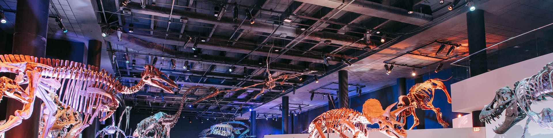 Houston Natural Science Museum featuring heritage elements and interior views