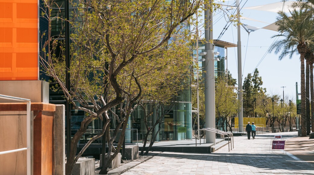 Mesa Arts Center