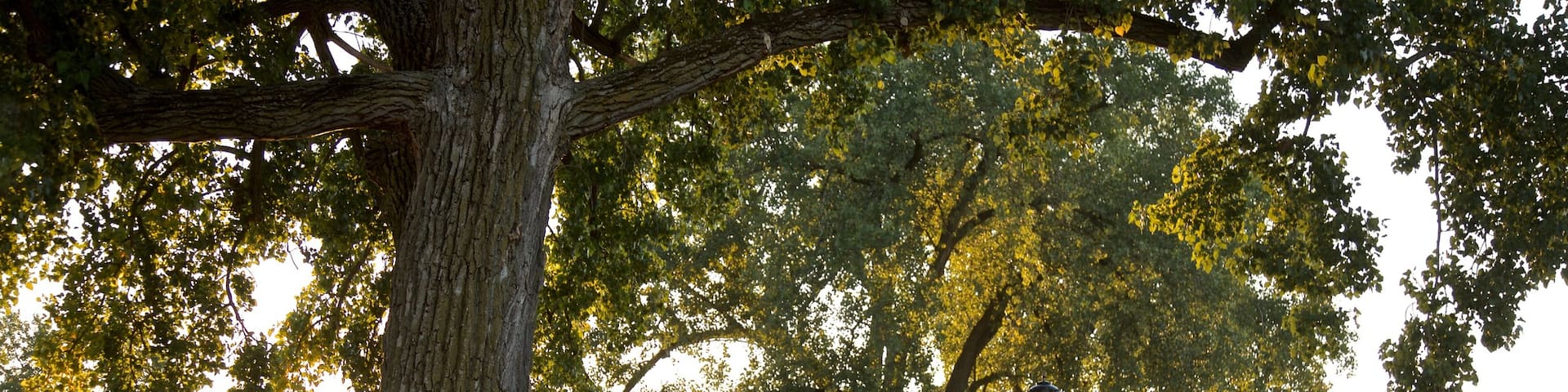 Mishawaka featuring a garden