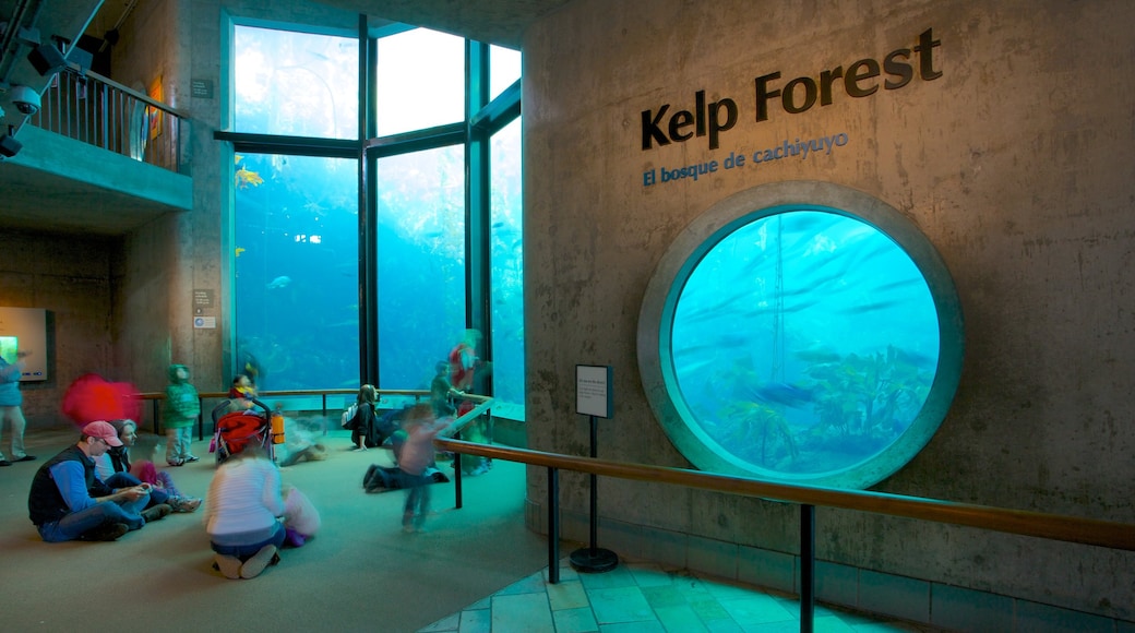 Akuarium Teluk Monterey