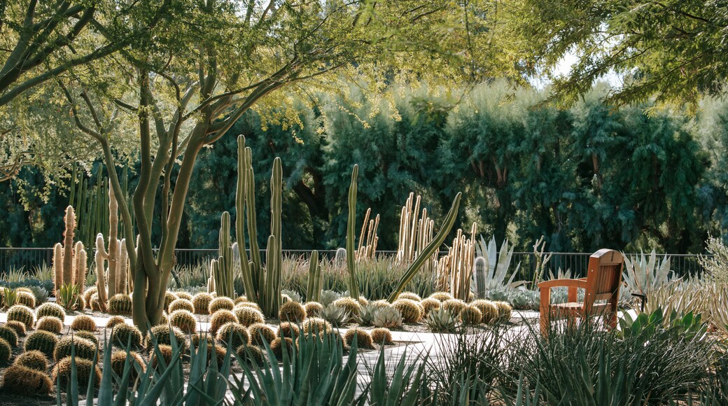 Centro Sunnylands y jardines