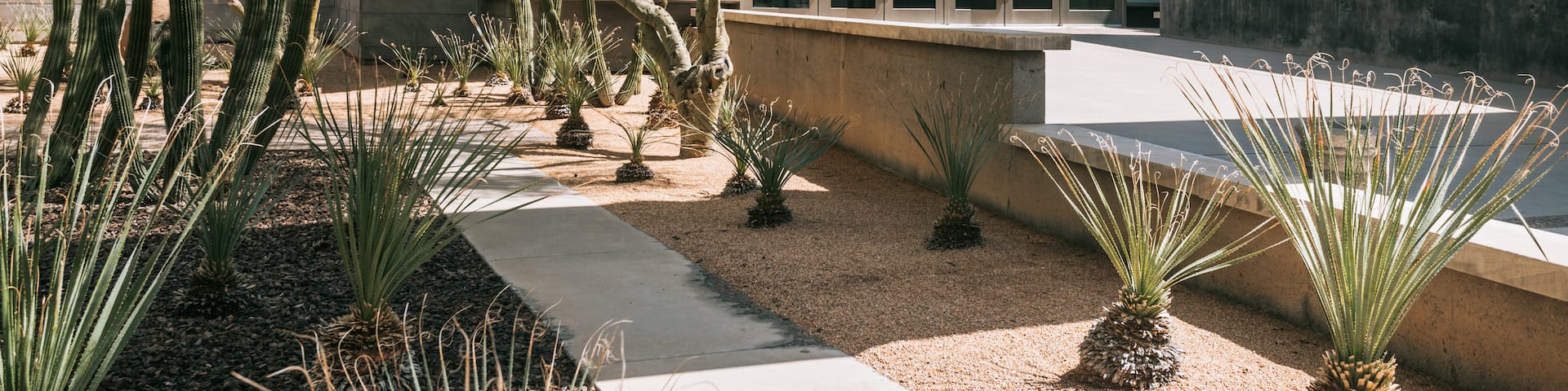 Phoenix Art Museum showing a park