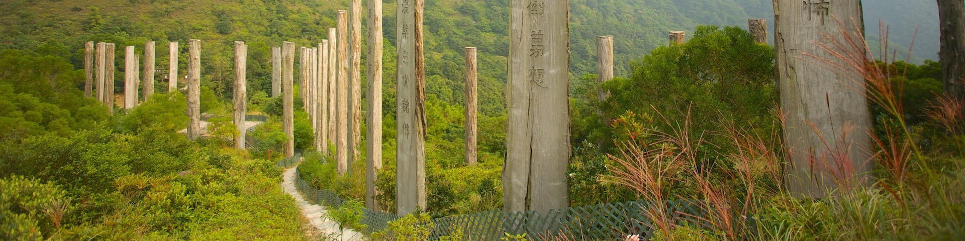 Po Lin Monastery featuring mountains, landscape views and religious aspects